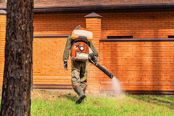 Trusted Bed Bug Control service in Sharonville, OH - Nex Pest Control